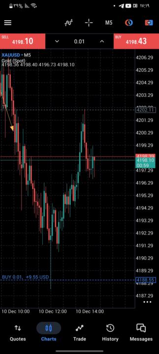 ترید لایف روی حساب ریل