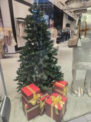 Vtm ingeniería spa Luz Olivares