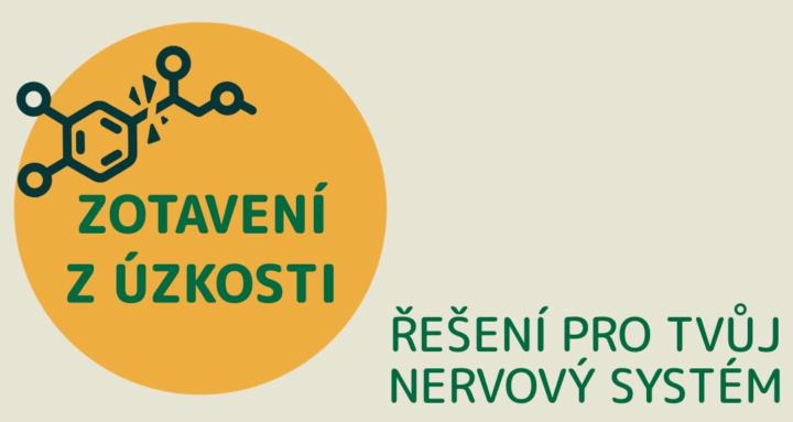 Zotavení z úzkosti