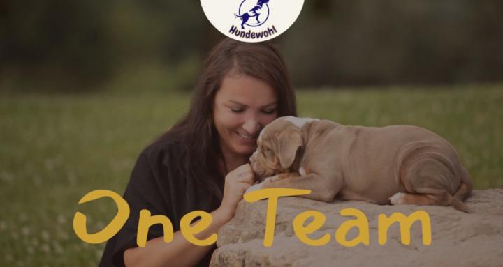 One Team - Dein Weg zum Wir