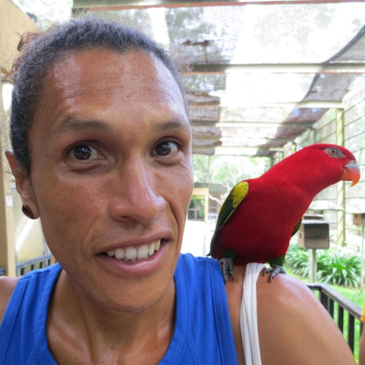 Lipo Navas