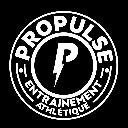 Propulse 17 2210 icon