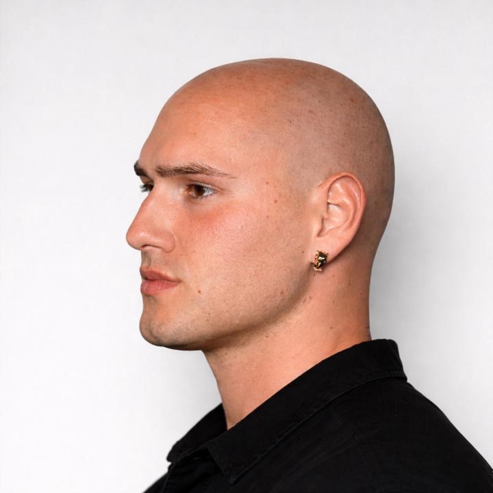 Leo skepl Leoskepi