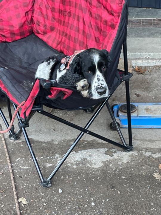 Lindsay Erin Anthony