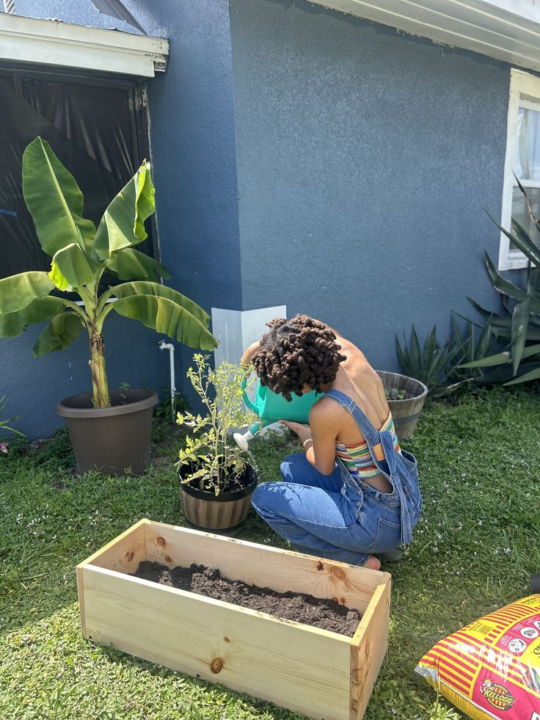 🌱 DEVOTIONAL FOR CREATORS — Planted