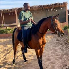 Hamadi Ndiaye