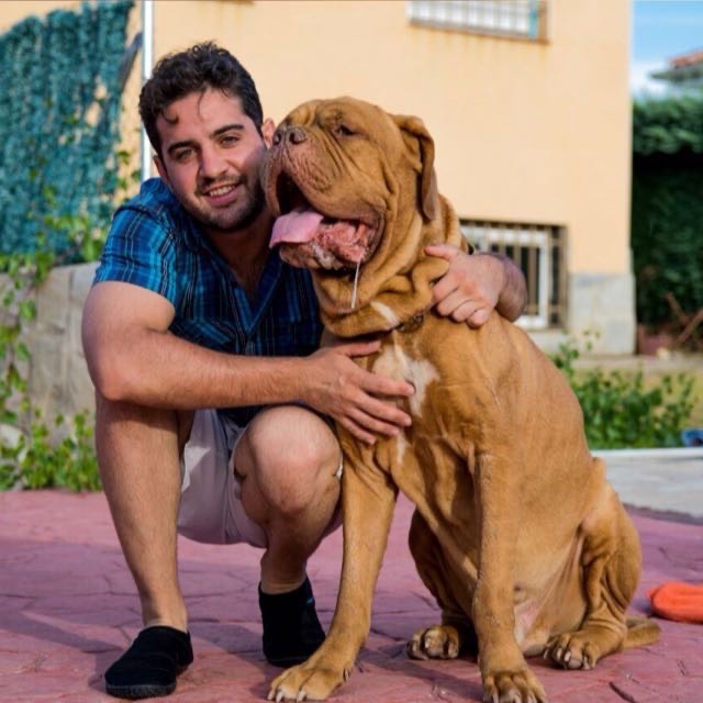 Jose luis Tamayo Arroyo