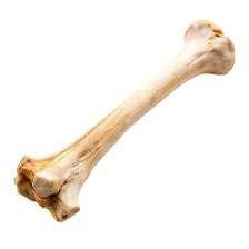 Jaw Looksmax
