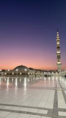 Waseem Malek