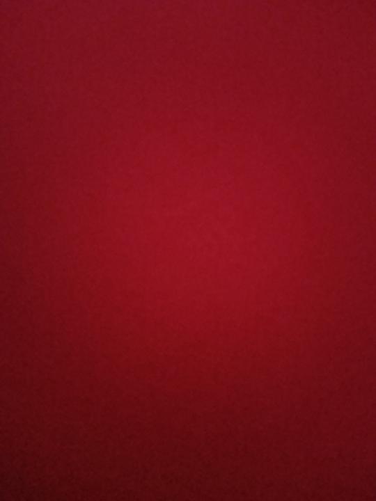 Elisabet Lopez Lucena