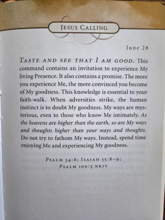 Jesus calling daily devotion 6/28