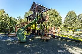 Wilson Park Area (Fayetteville)