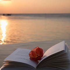 Нармандах Шинэгэрэл