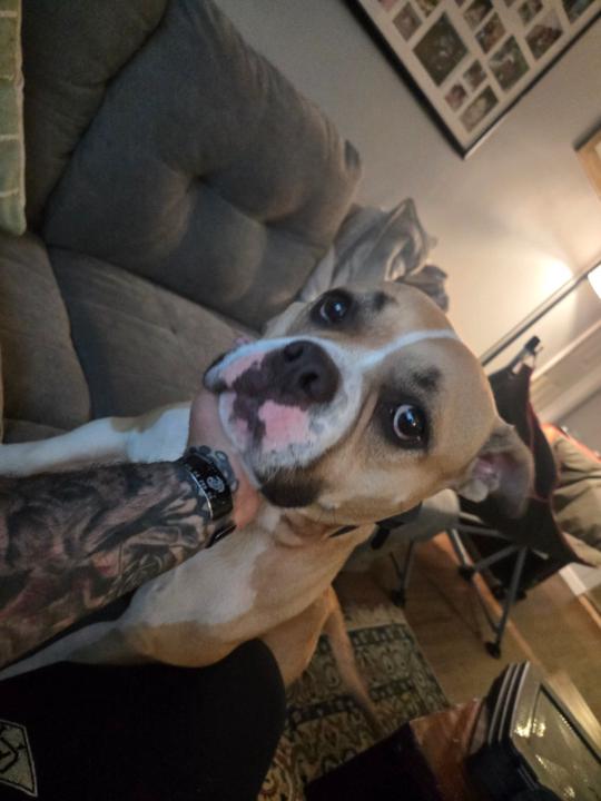 Juan Morales