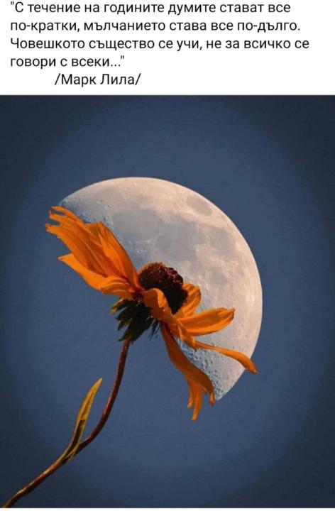 Silviya Силвия