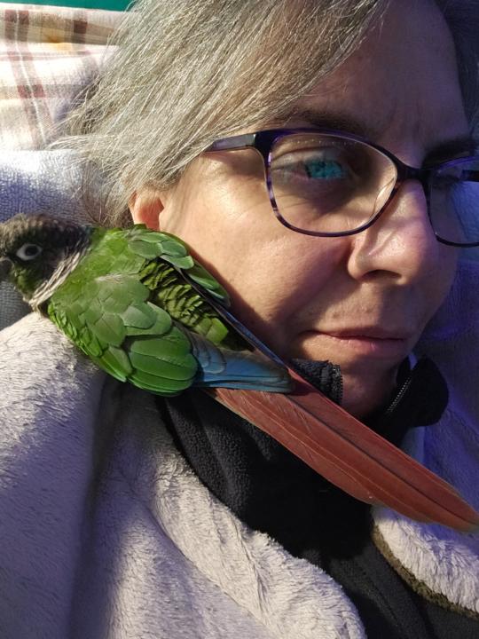 Debbie Parent