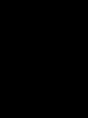 Gavin van Jaarsveldt