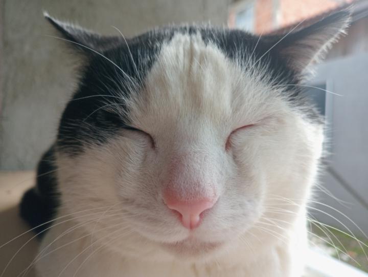 Lucas Macedo Ferreira