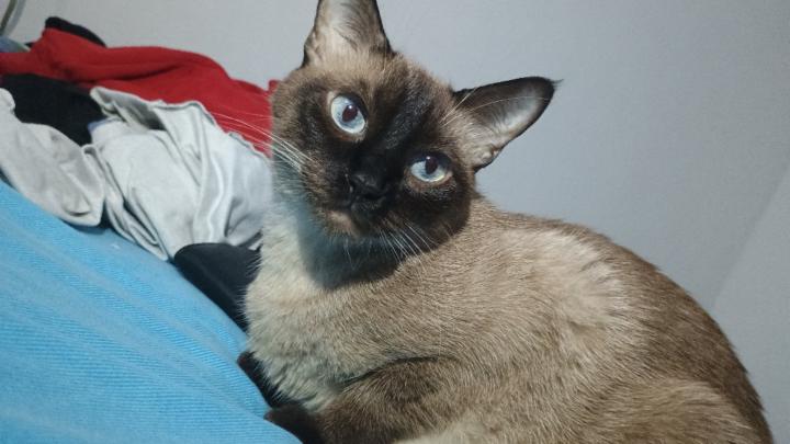 Jhonny Andres Vargas Muñoz