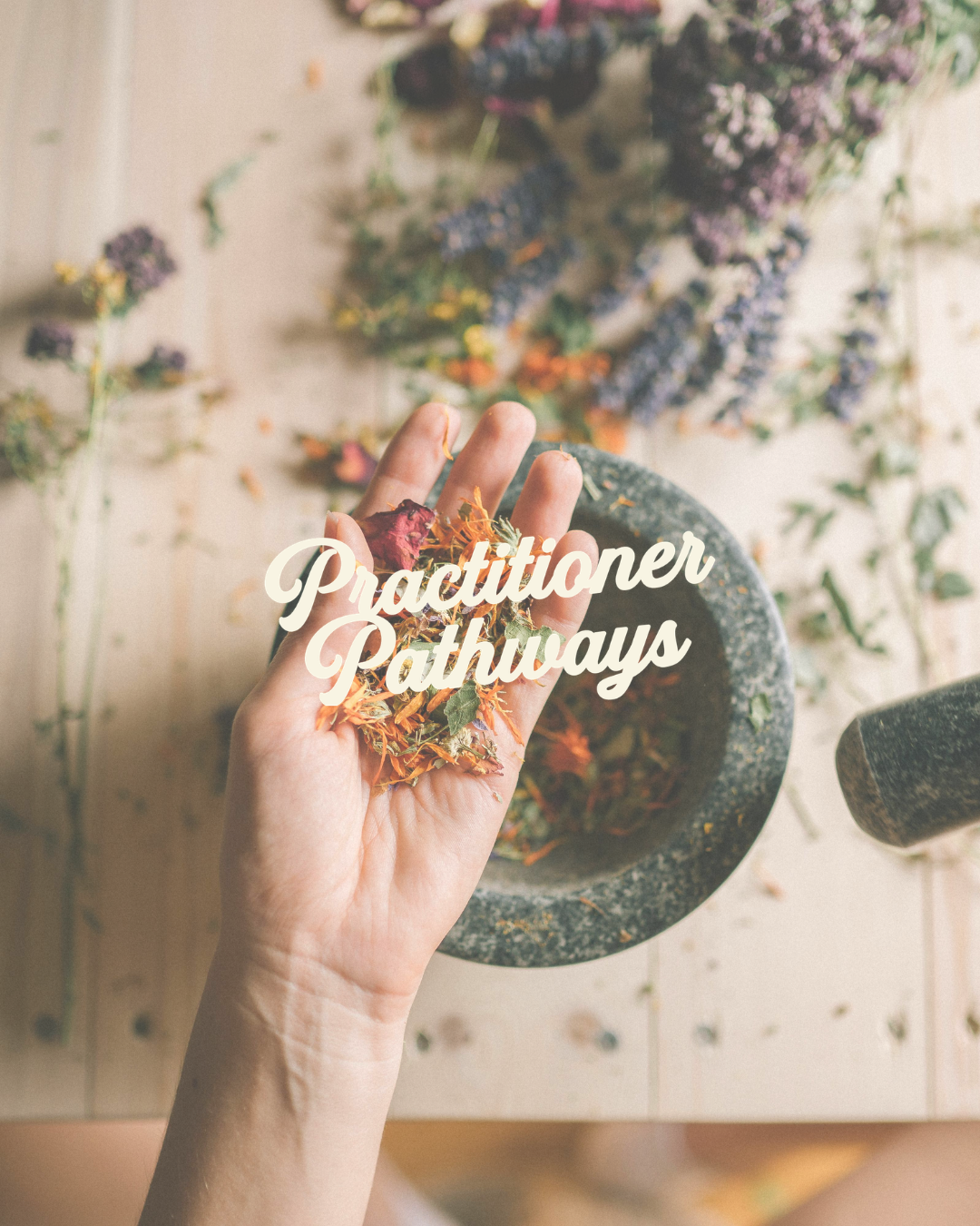 Practitioner Pathways