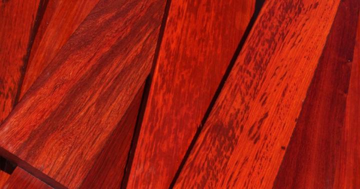Guess That Wood! 