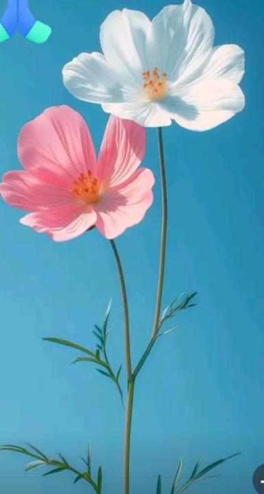 Dehab Bahru