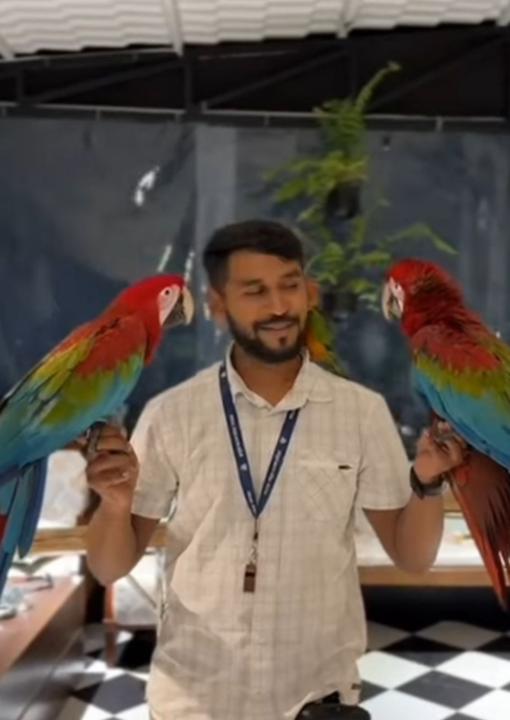 Karan Rajput
