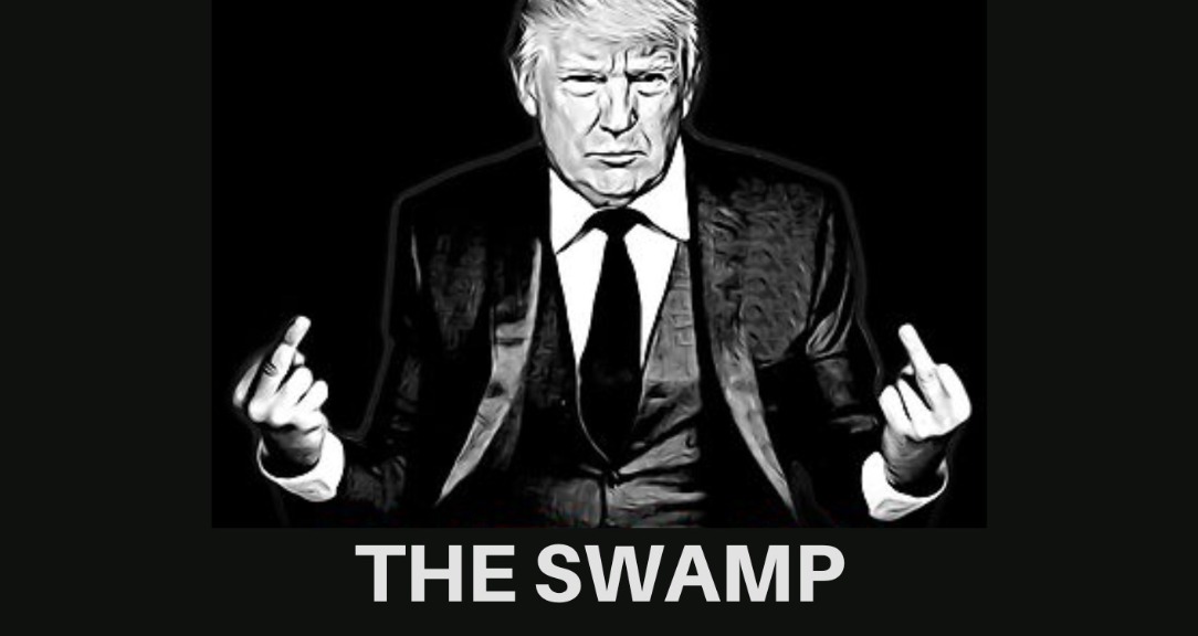 political-identity-the-swamp-modern-politics