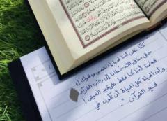 أنفال الأمين