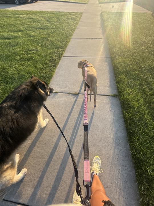 AM Walk 🩷🌅