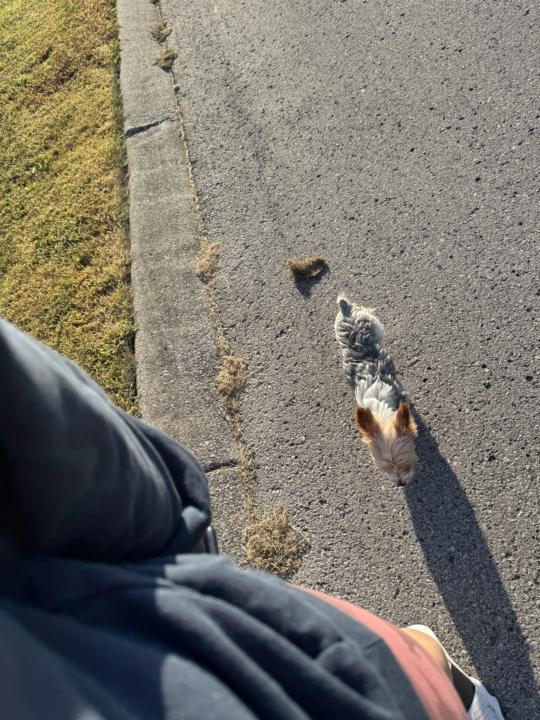 No solo running today! 😉