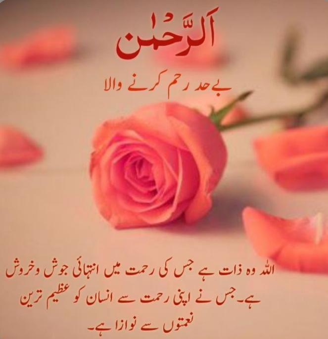 Anam Pervaiz