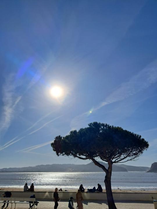 Bom fim de semana! Beautiful weather has returned!!