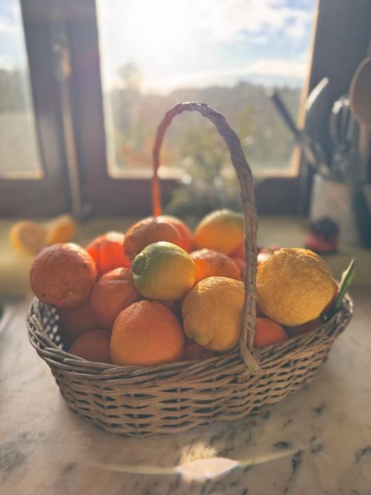 Central Portugal sunrise & citrus 