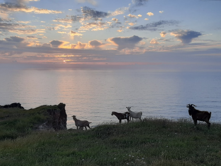 Light relief, better days, beautiful places QUIZ