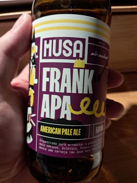 Beer with salt? (But has it improved Sagres?)