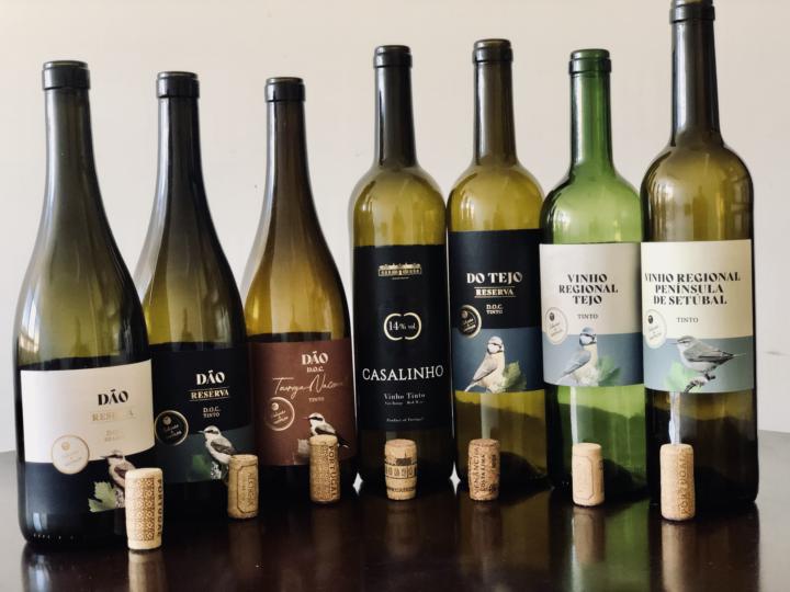 Recent Wine Tastings
