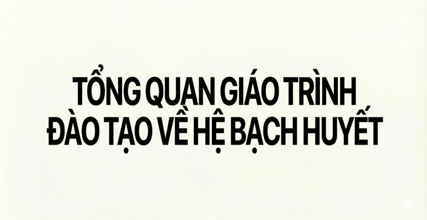 TỔNG QUAN GIÁO TRÌNH ĐÀO TẠO VỀ HỆ BẠCH HUYẾT