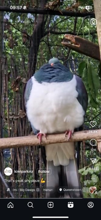 N M