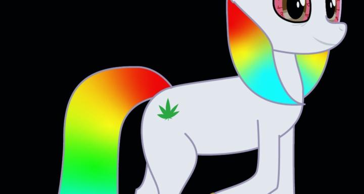 The Stony Pony Troop