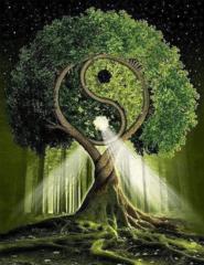 Raquel Ponce Alcaina