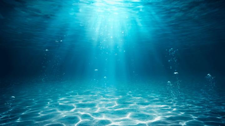 Ceren Çetin Karayel