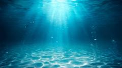 Ceren Çetin Karayel