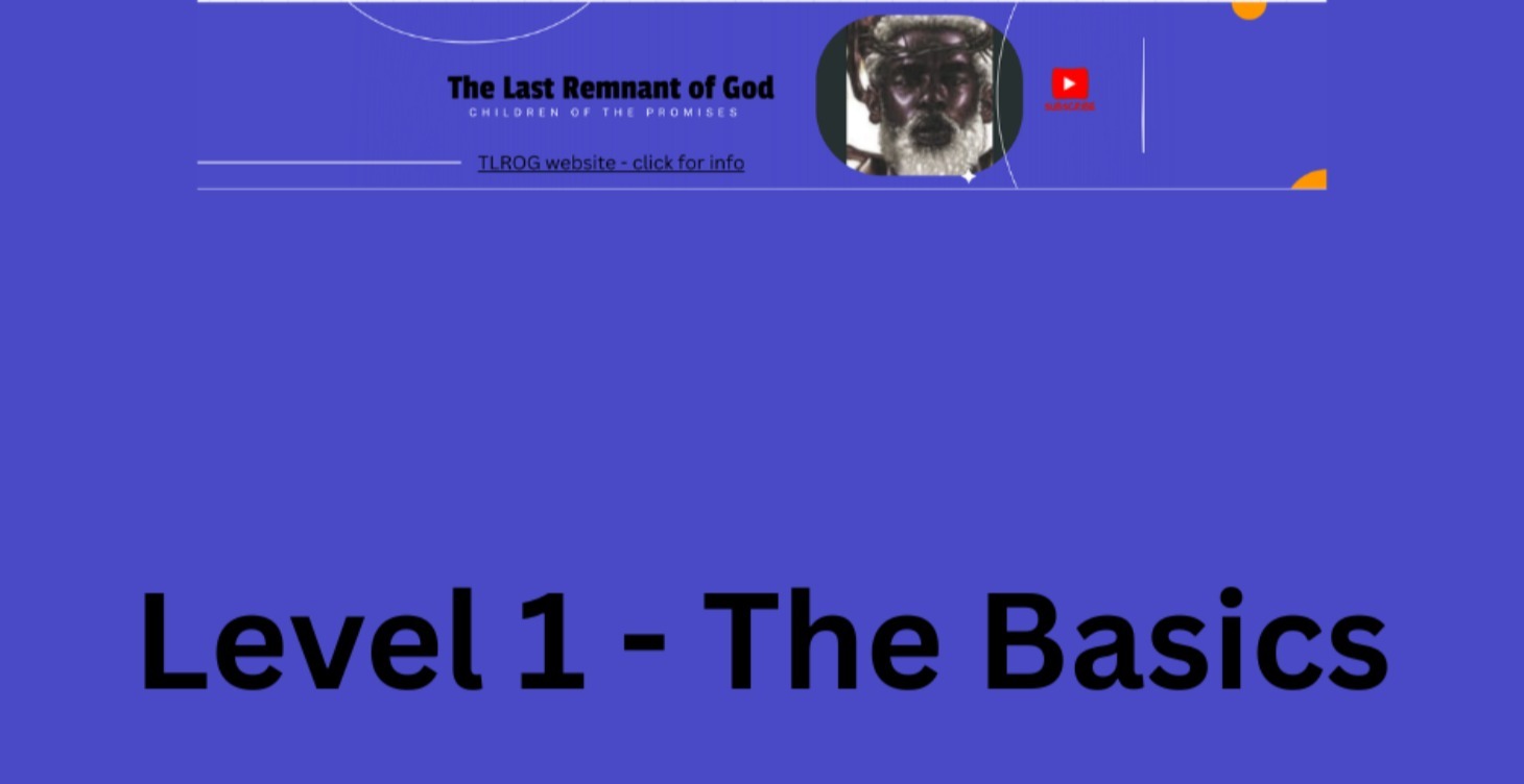 Level 1 - The Basics