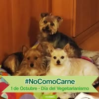 Teresa Corominas