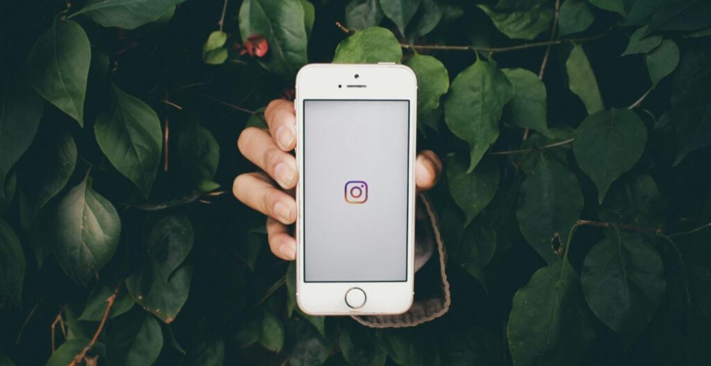 Building Instagram Personal Brand and Business.