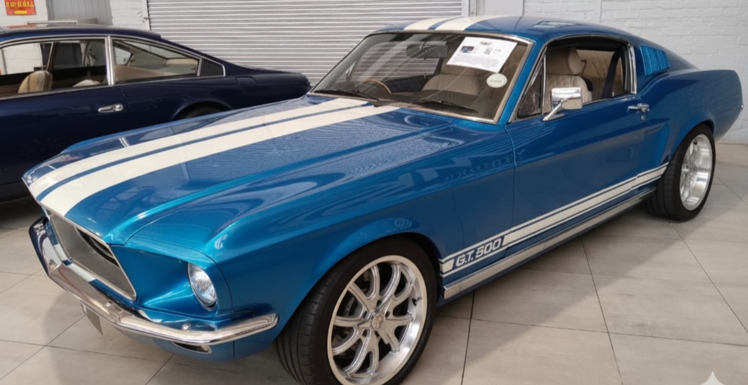 Marketing and Brand Vision Management