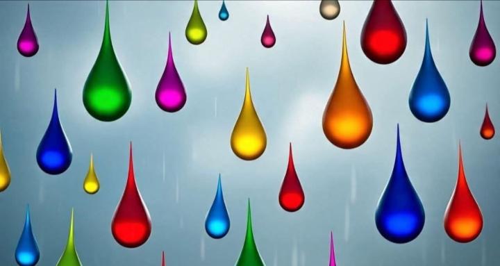 Oils and Terpenes Collective