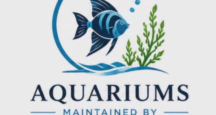 Aquariums Maintained by Andy
