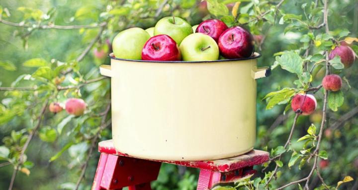 Ten Bridge Coaching Collective